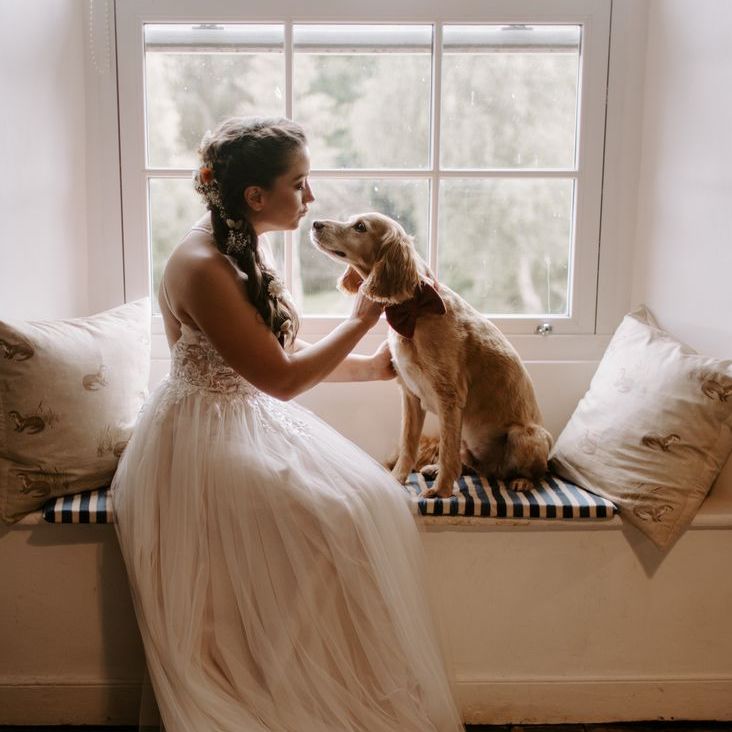 Bride in Floral Lace Wedding Dress with Pet Dog On Morning of The Wedding