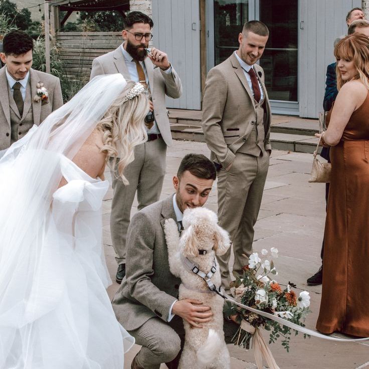 The Bride & Groom Give Pets to Fluffy Dog At Wedding