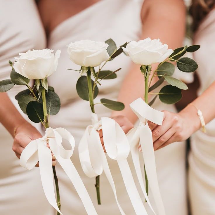 Bridesmaids Holding White Rose Single Stem Bouquet with White Ribbon