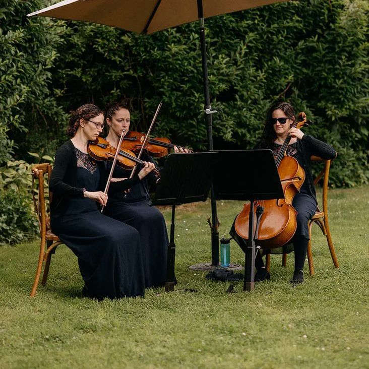 String Trio Playing At Wedding Ceremony