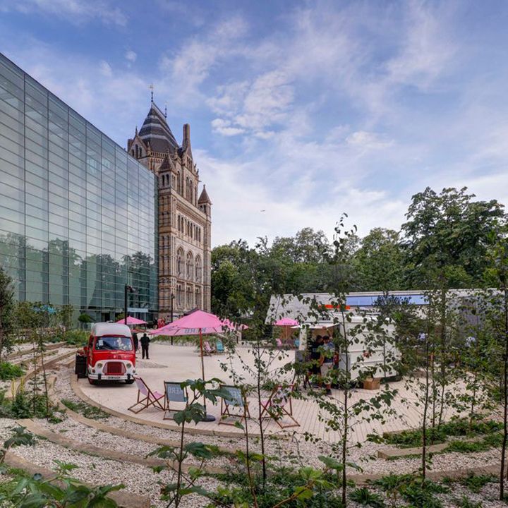 The Natural History Museum