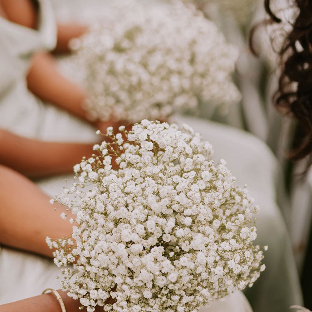 bridesmaids-holding-gypsophila-bouquets