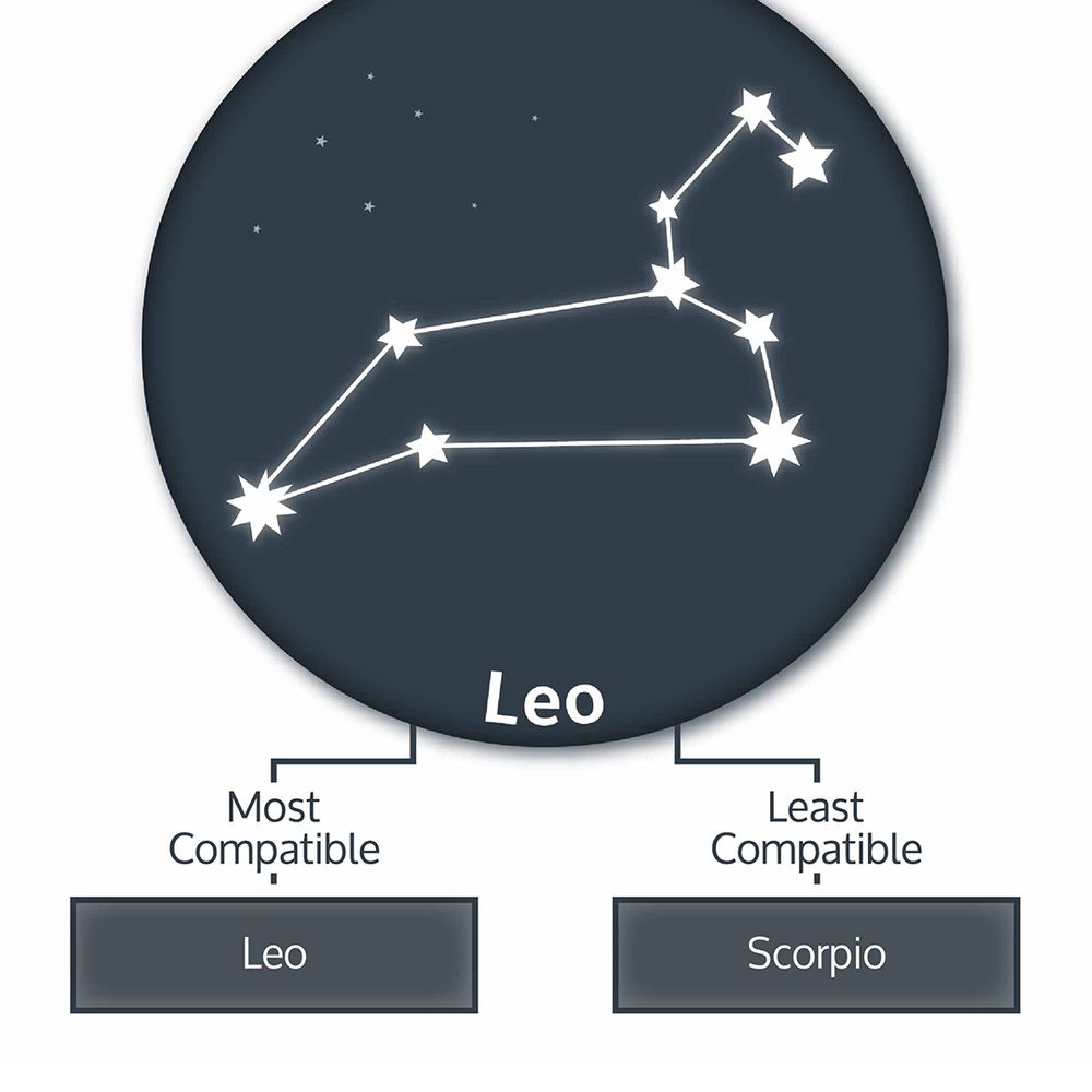 leo-zodiac-compatibility