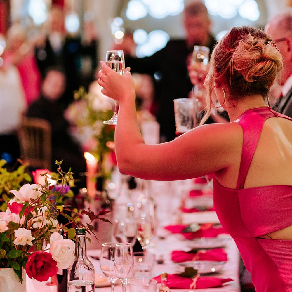 wedding-guests-make-a-toast
