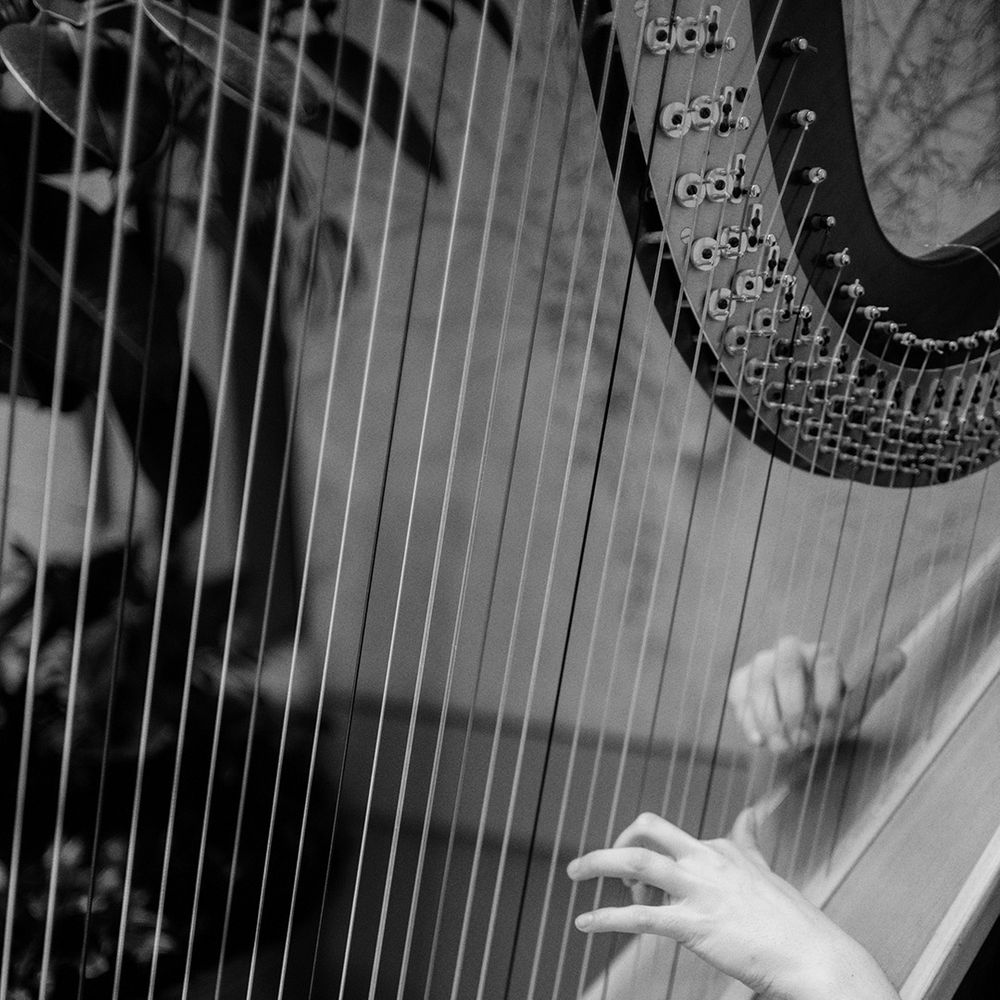 harpist-plays-at-wedding-ceremony