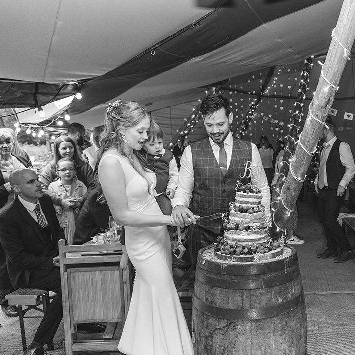 Couple cut their wedding cake 