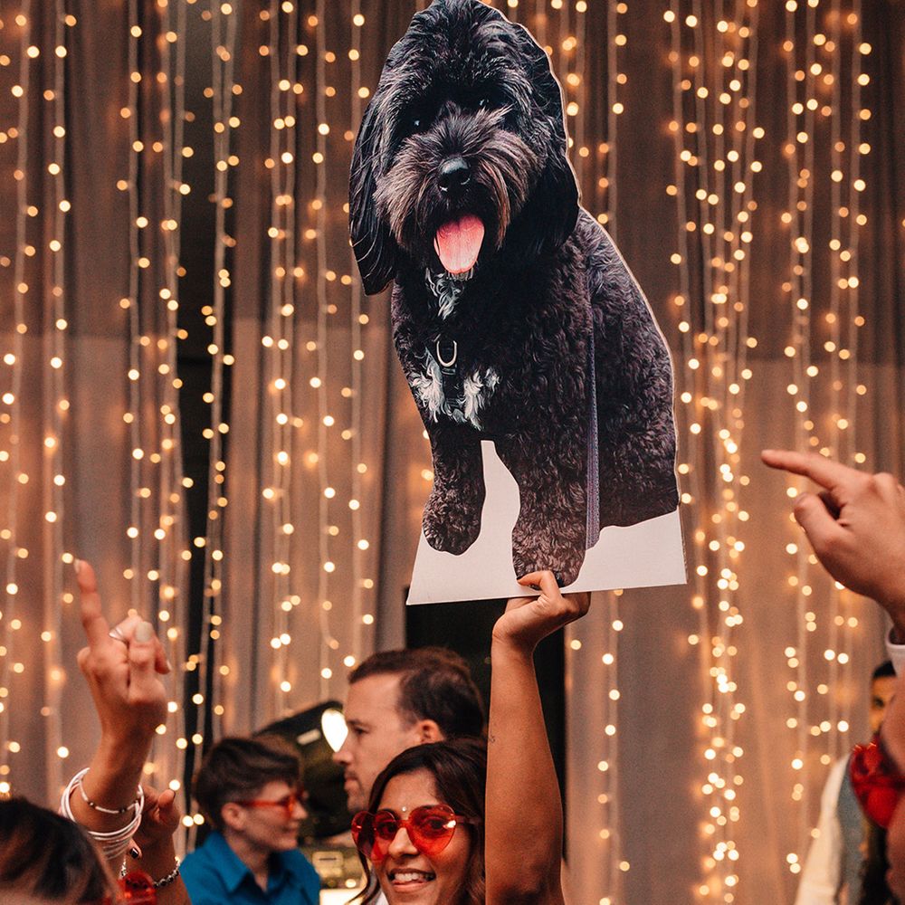 funny-cardboard-cutout-of-pet