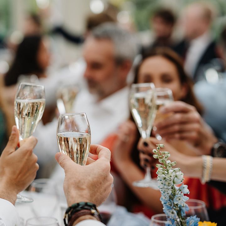 wedding-guests-make-a-toast