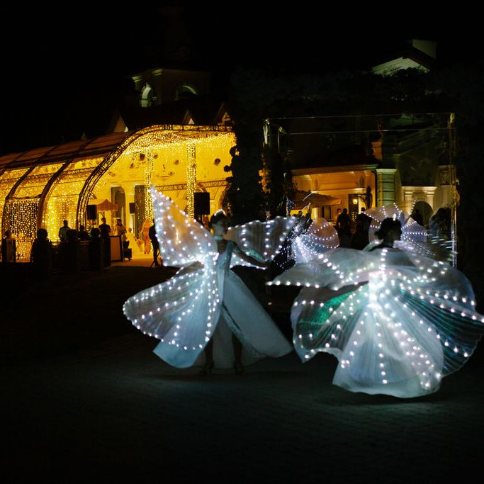 unique-wedding-entertainment-at-wedding