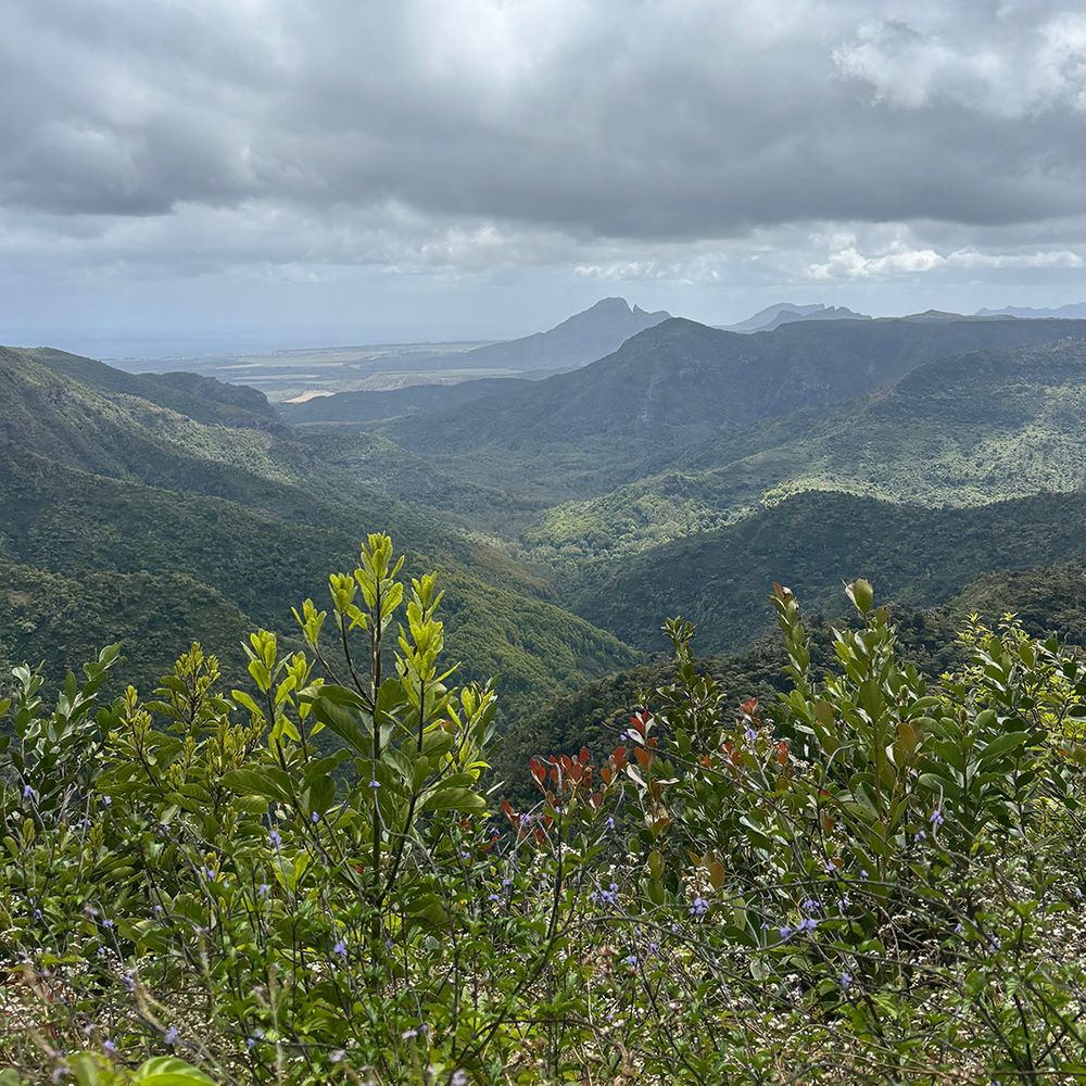 black-gorges-view-point-mauritius