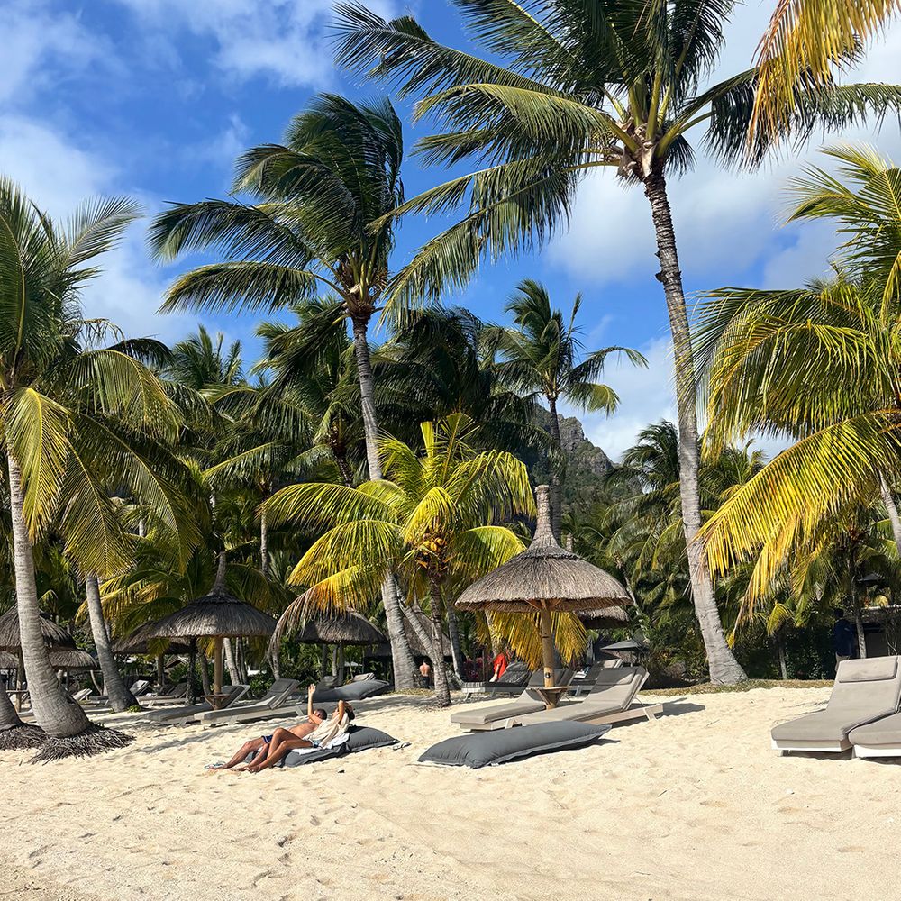 blue-skies-palm-trees-and-sand-beach