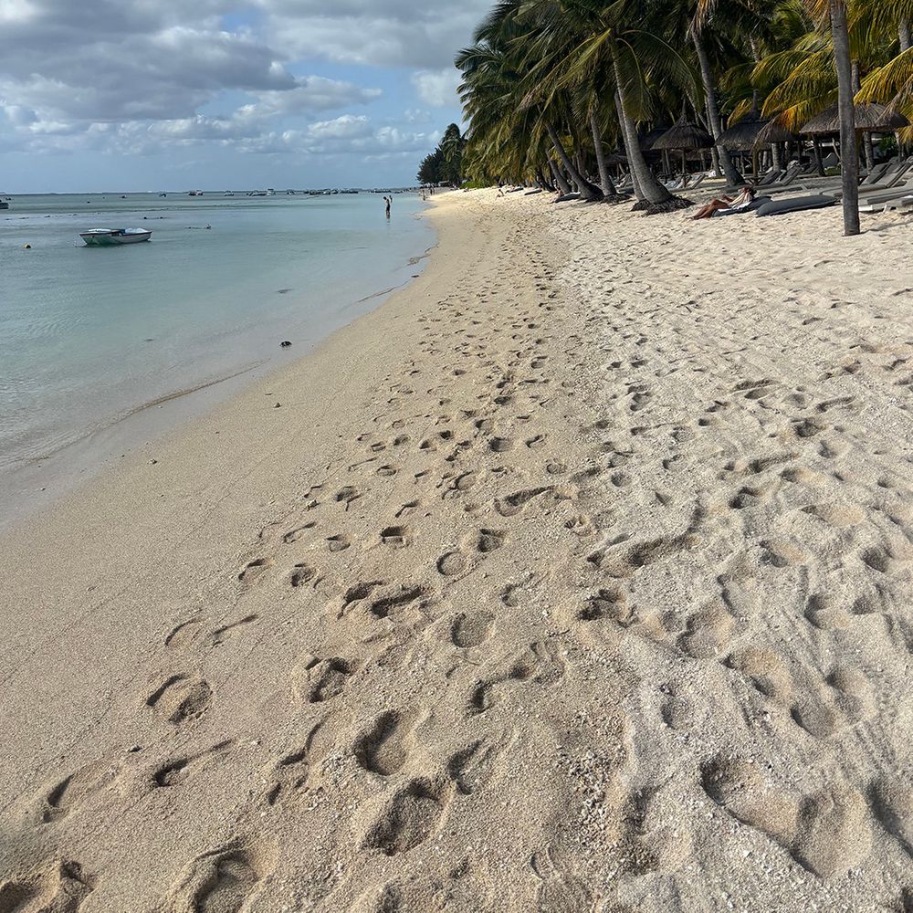 palm-trees-on-sandy-beach-at-st-regis-le-morne