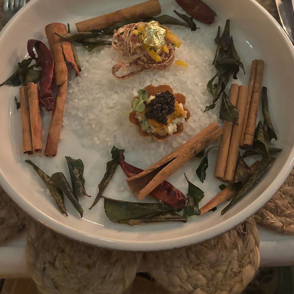 sea-urchin-starter-house-of-celebrations