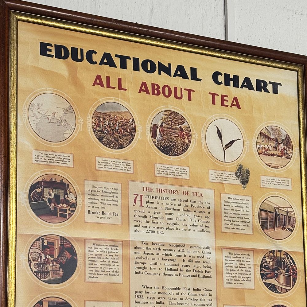 tea-poster-chart-le-bois-cheri-tea-plantation