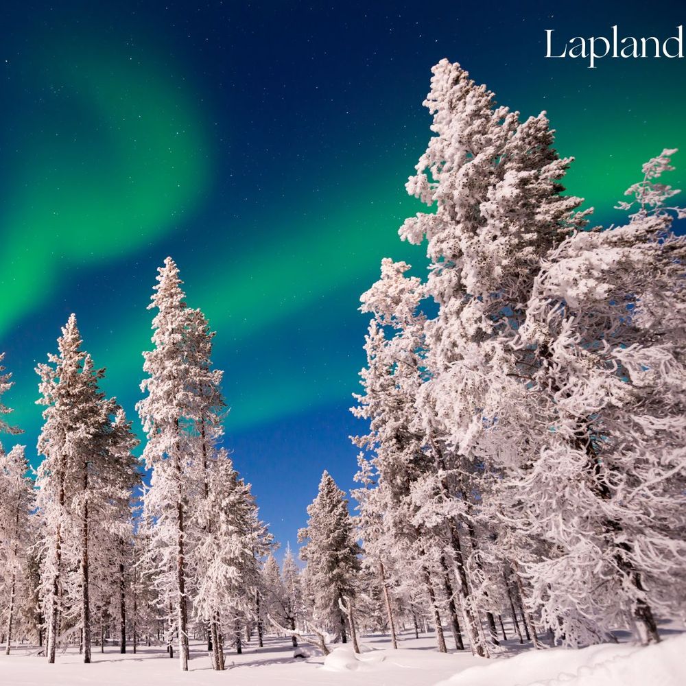 Snowy setting and Northern Lights in Lapland