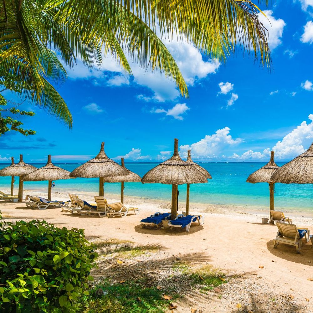 Mauritius tropical beach with straw sun lounger umbrellas