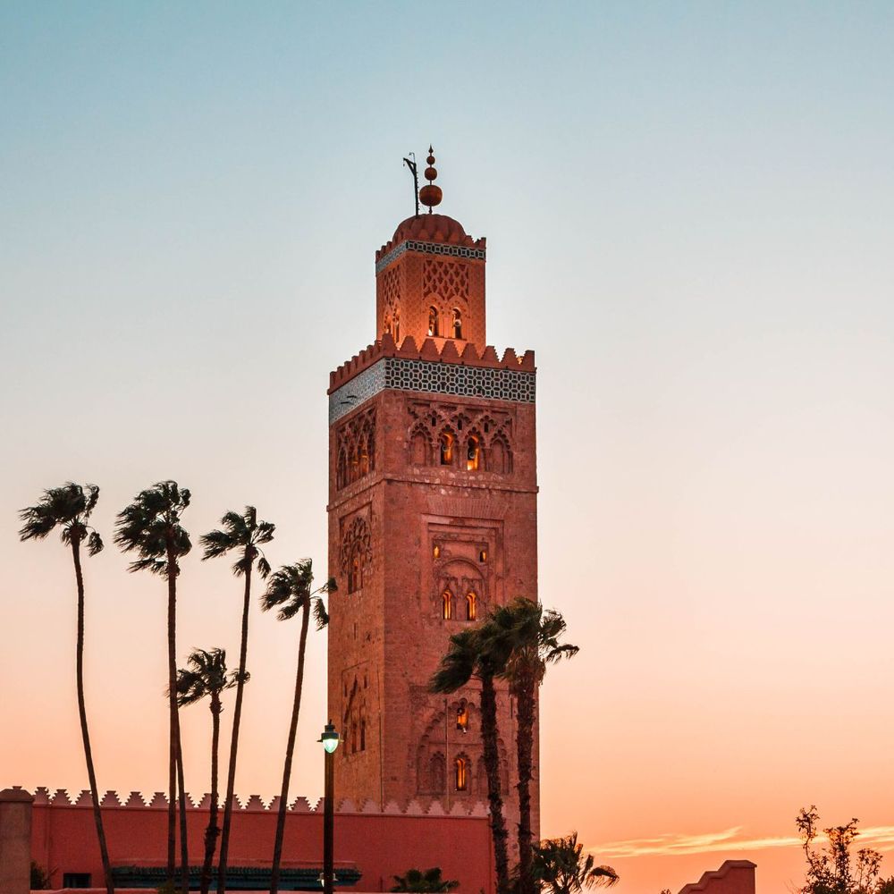 Marrakesh, Morocco at sunset with palm trees