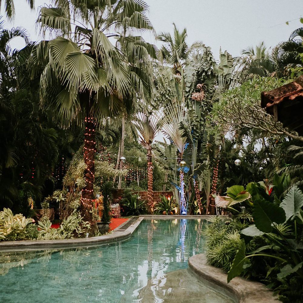 All inclusive honeymoon destination with pool and palm trees in goa, india