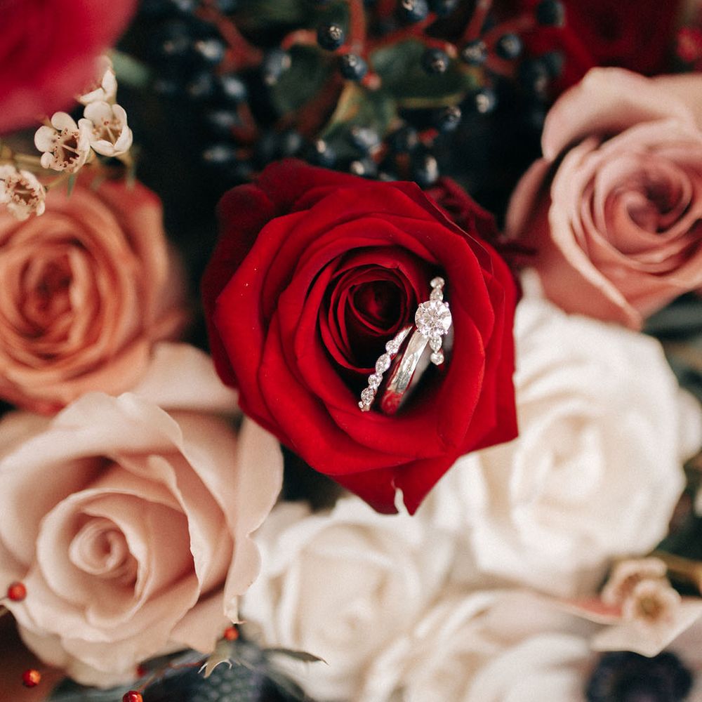 Bride's engagement and wedding ring in red rose
