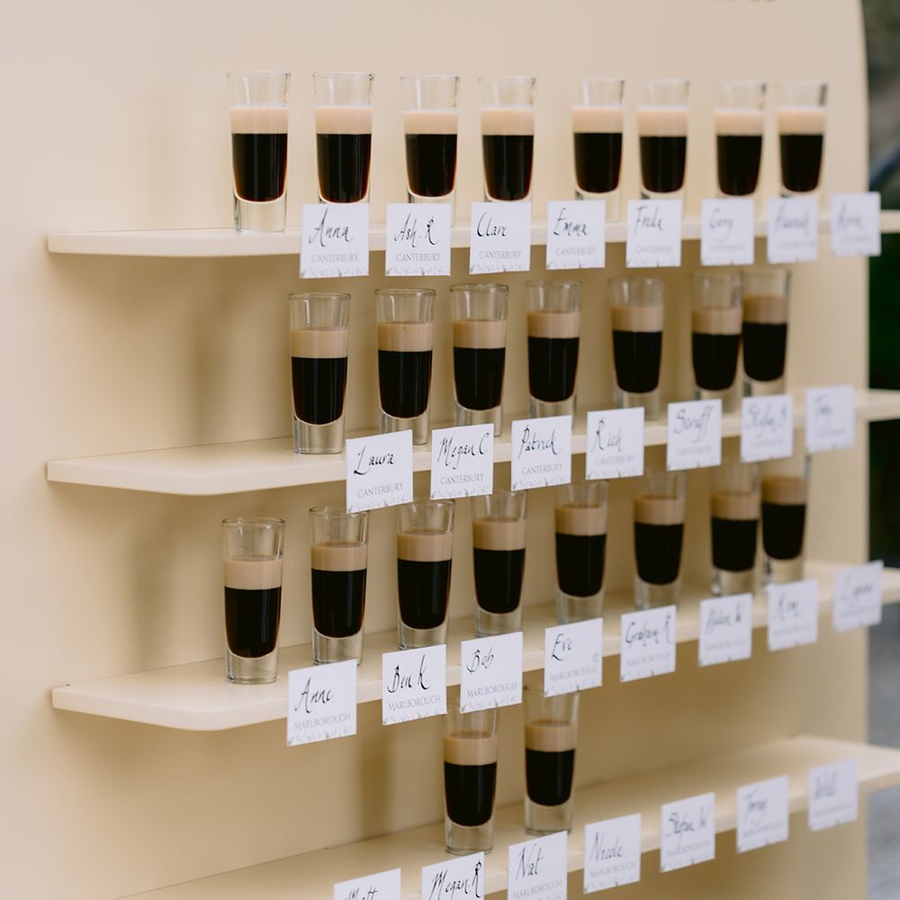 baby-guinness-shot-seating-chart