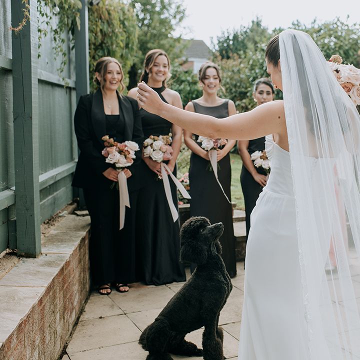 bridal-party-first-look-with-pet-dog