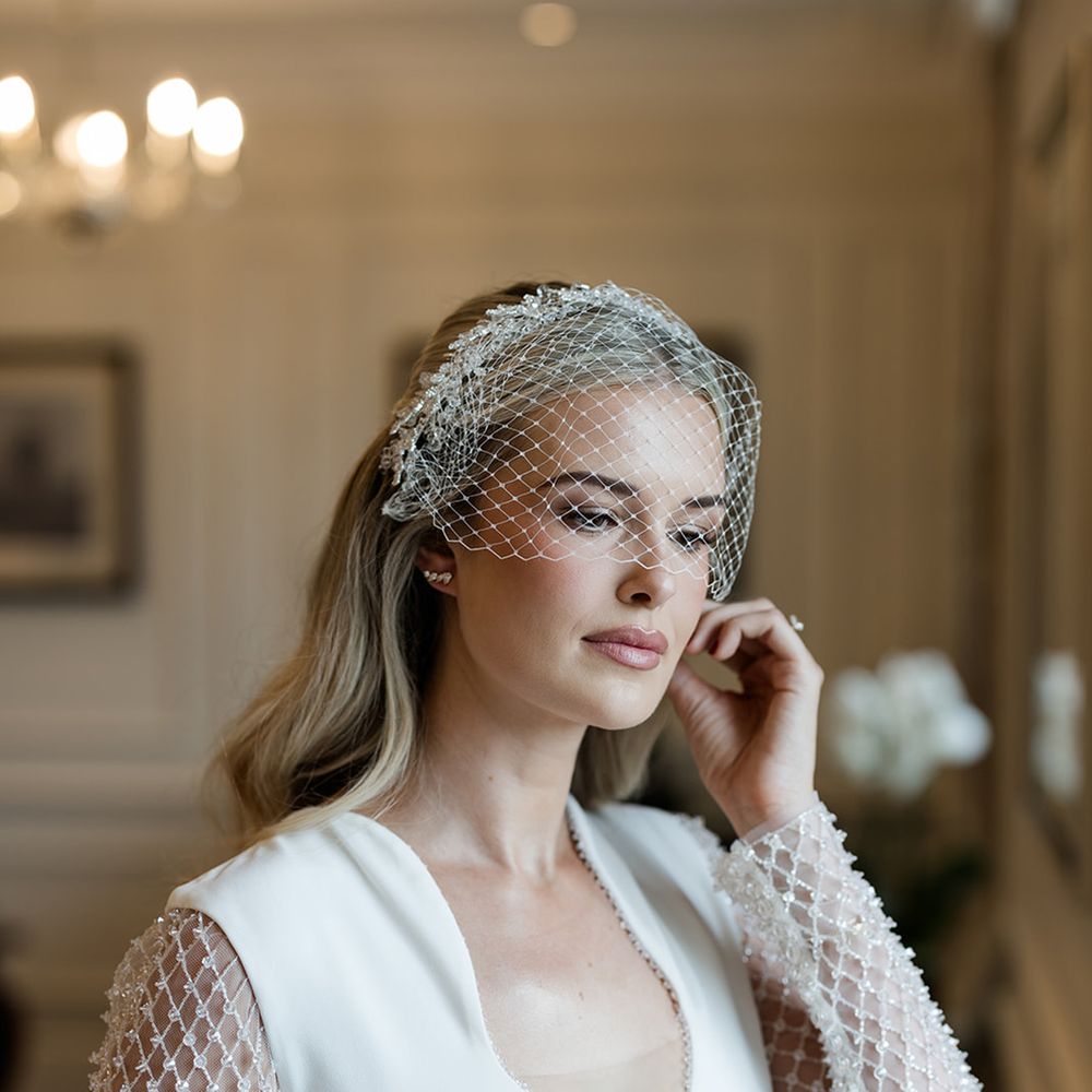 bird-cage-wedding-veil-with-tiara-and-bride-in-diamond-long-sleeve-wedding-dress