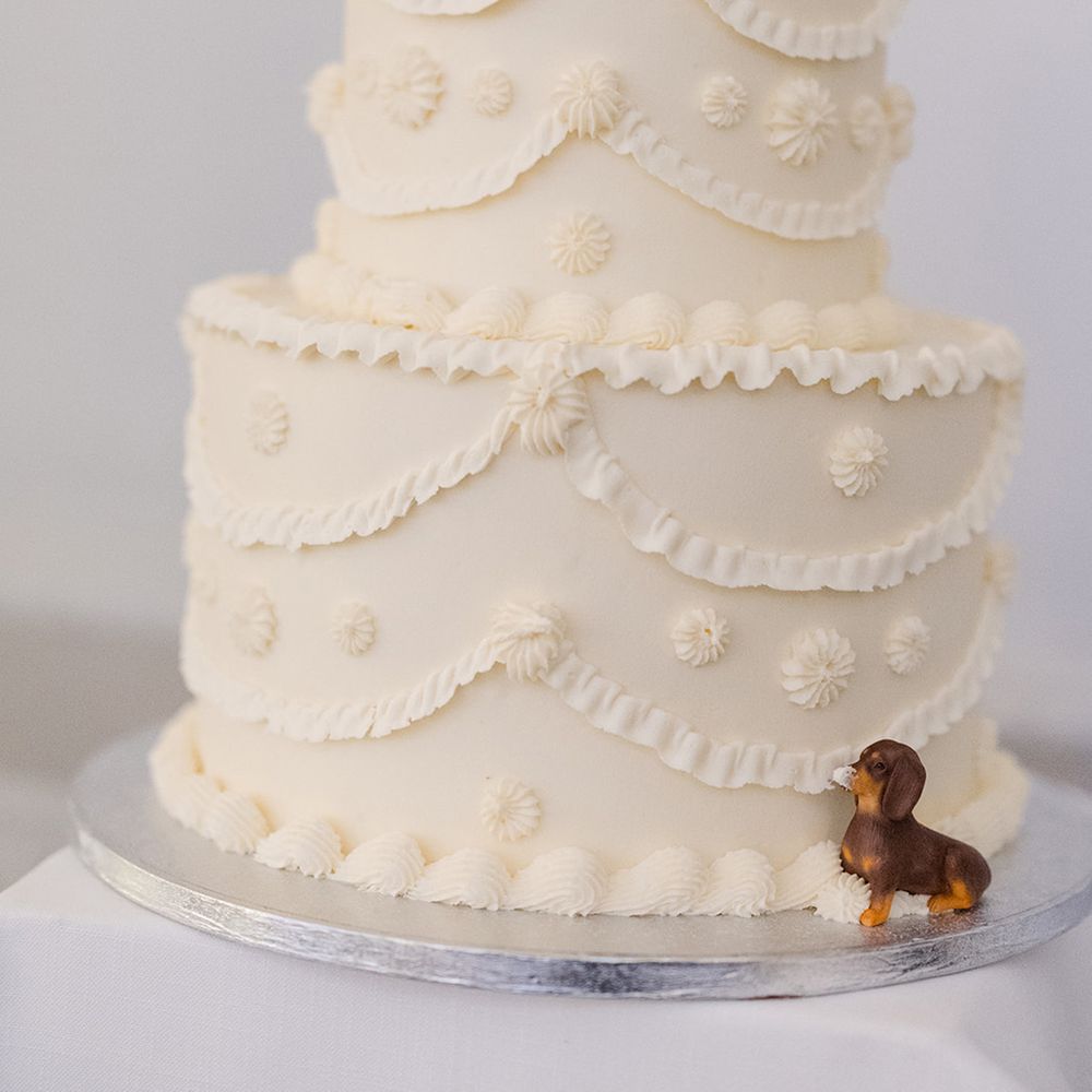 two-tier-white-iced-wedding-cake-with-strawberries-and-mini-dog