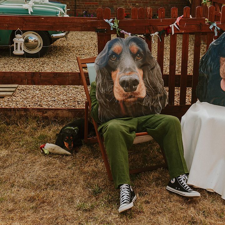 Cardboard cutouts of pet dogs 