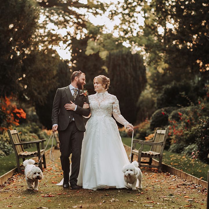 Bride and groom walking with pet dogs 
