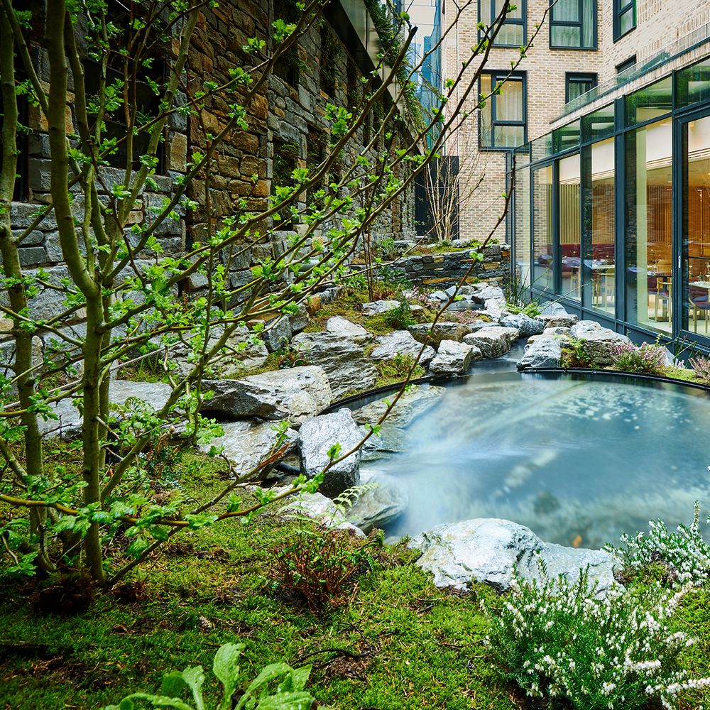 The Chancery Hotel Poddle Garden