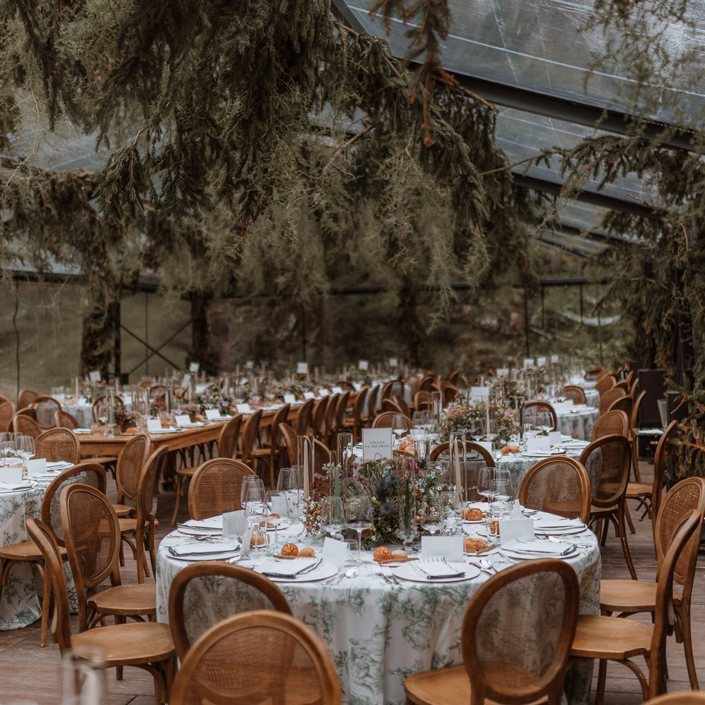 suspended greenery forest decor glass conservatory reception venue