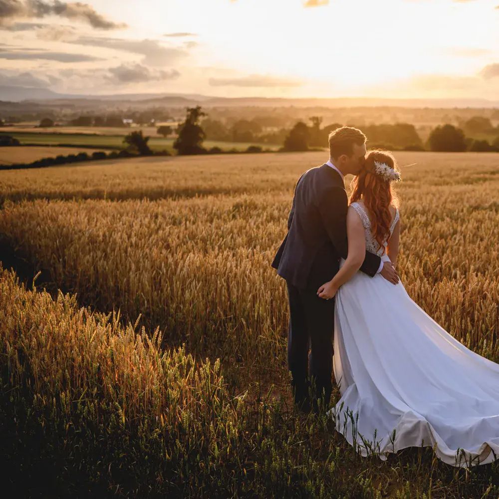 Groom kisses bride's forehead in a golden wheat field at sunset with rolling countryside beyond.