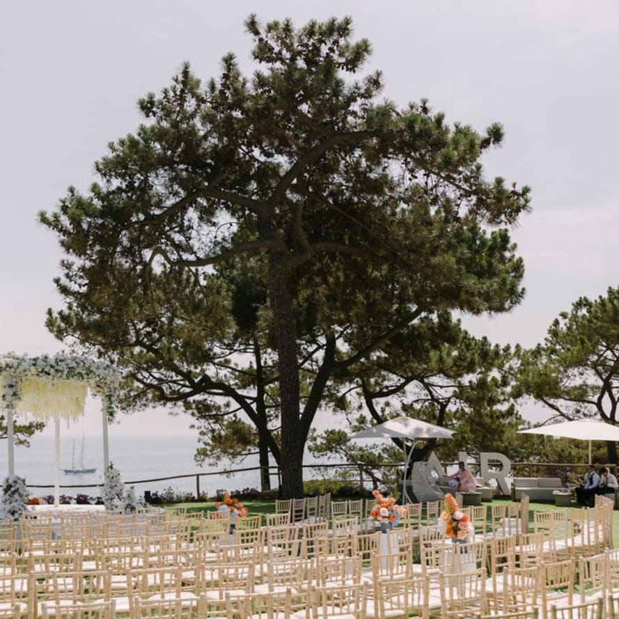 Clifftop ceremony set-up with floral arch, gold chiavari chairs and sea views beneath a pine tree