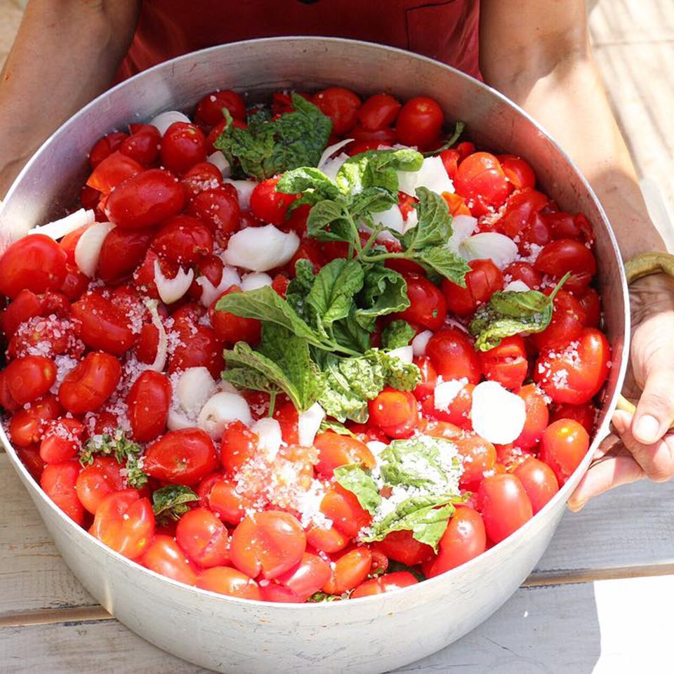 Large metal pot filled with fresh tomatoes, onion, basil and salt held over a wooden table
