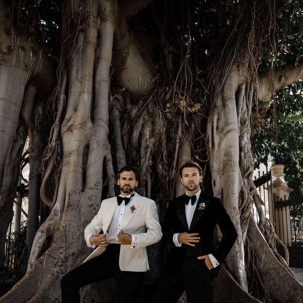 grooms banyan tree portrait