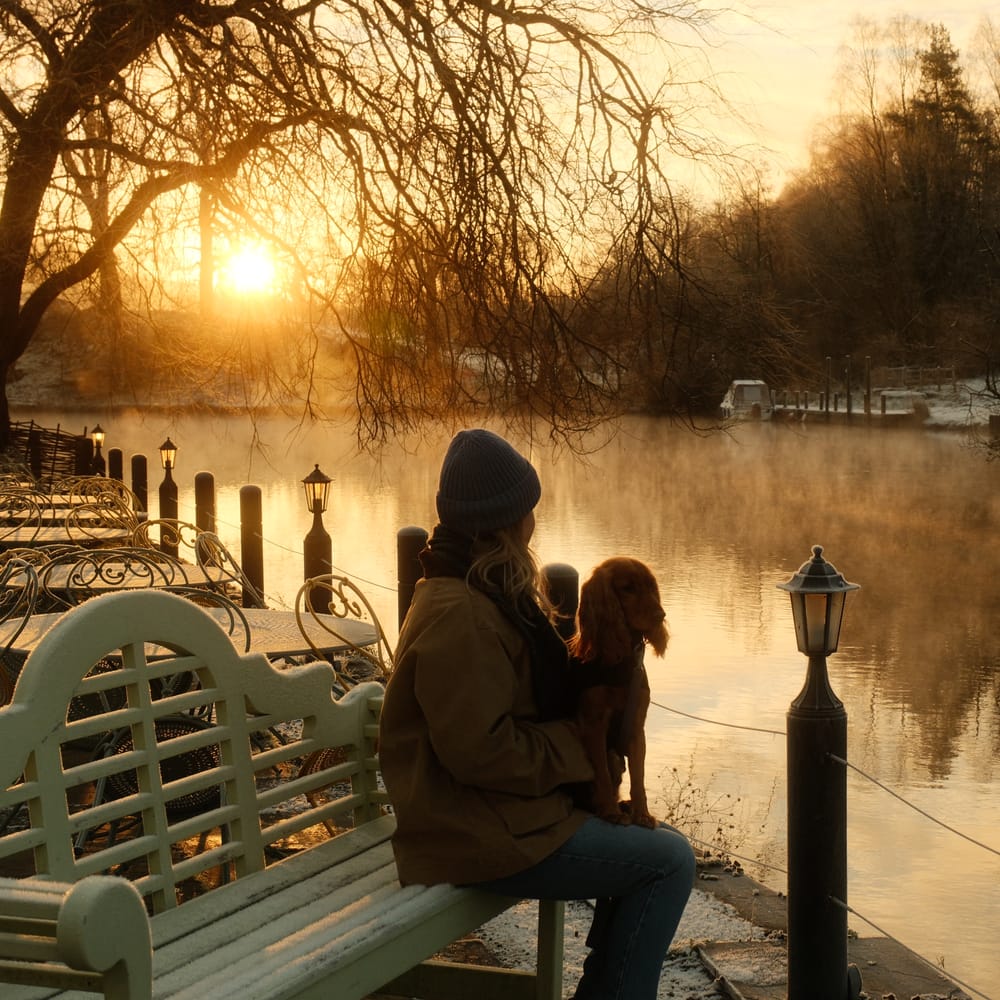 Person in woolly hat sits with a dog on a bench beside a misty lake at frosty sunrise