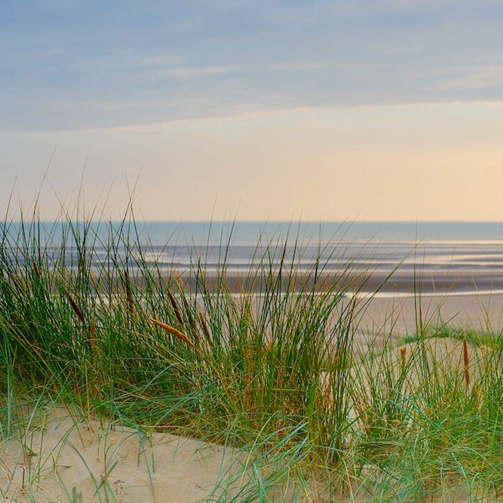 the gallivant wedding venues in sussex at camber beach