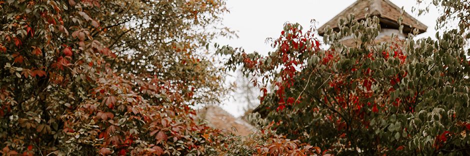 Collage of images of the Autumn Wedding Dresses For 2026 Brides