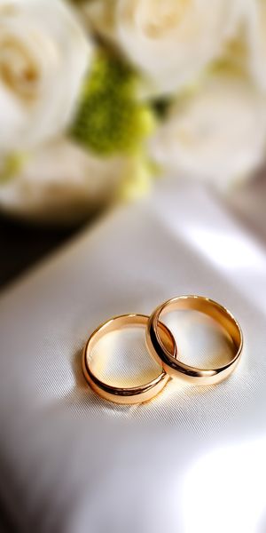 Close up of two wedding rings, placed on a cushion, highlighting marriage