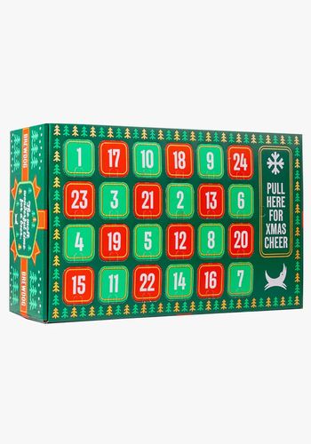 brewdog craft beer advent calendar, including 24 different beers. 