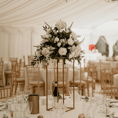 Sophie Wilson Events