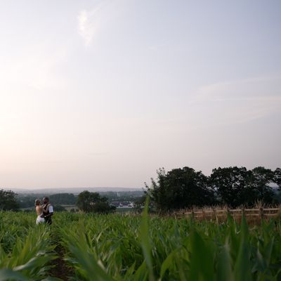 Motion Farm Wedding Films