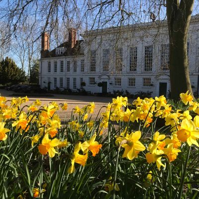 Gosfield Hall