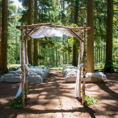 Weddings in the Wood