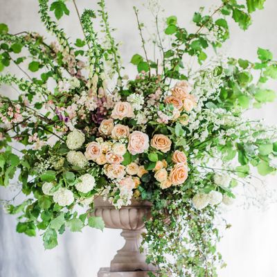 Wild Rose Flowers