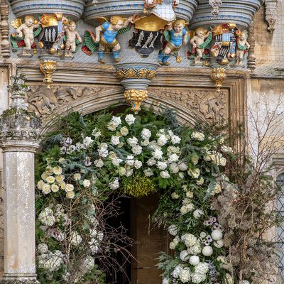 Georgina Chapman Flowers