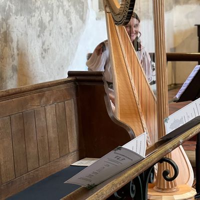 Aoife Miralles, Harpist