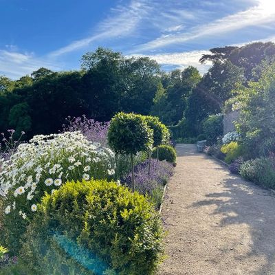 Carwinion House & Gardens