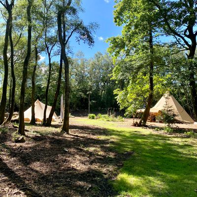 Hillfort woodland weddings