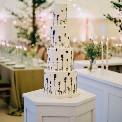 Cake Design by Holly Miller